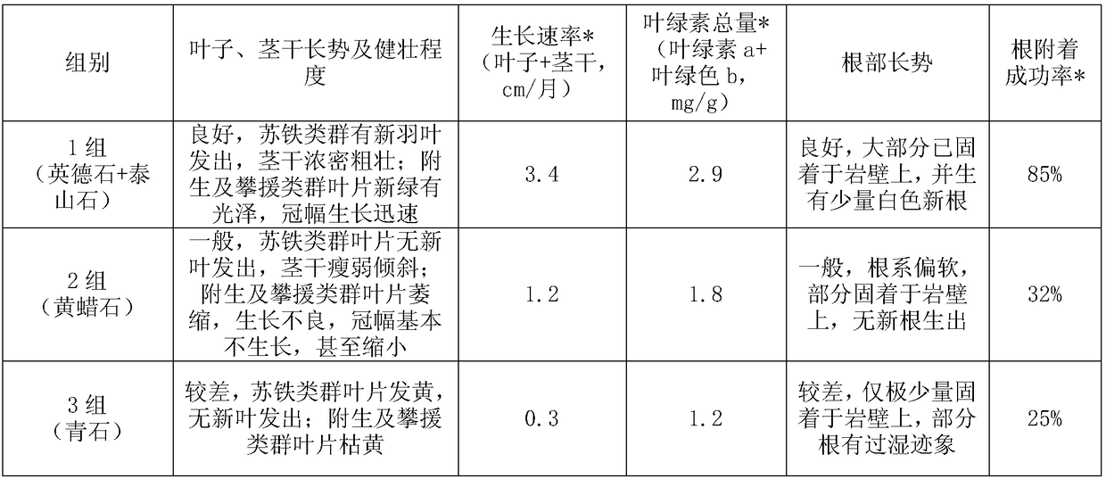 Construction method of specialized garden for lithophytes in south China