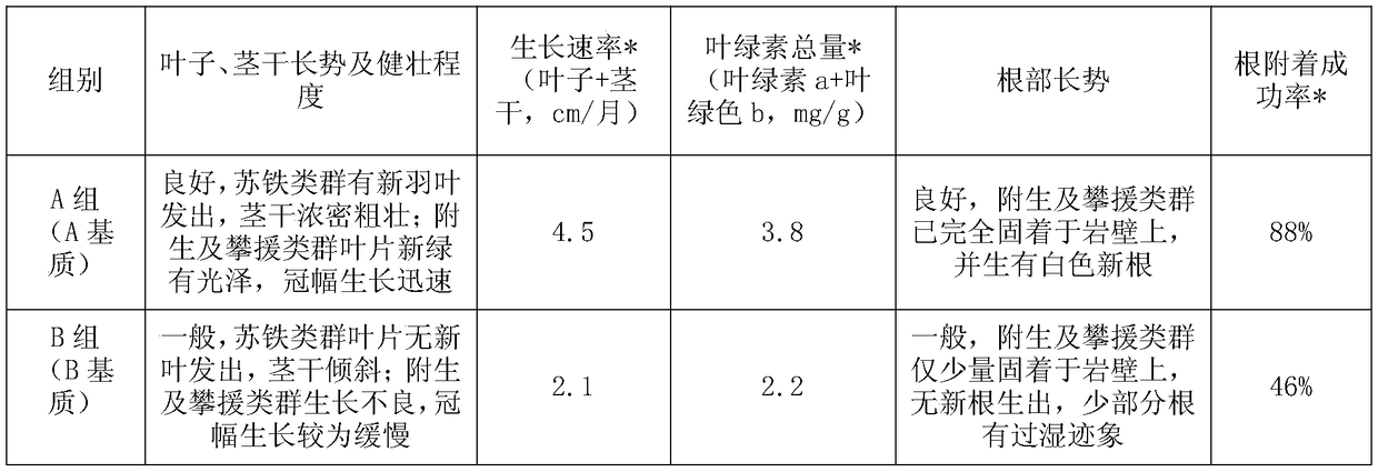 Construction method of specialized garden for lithophytes in south China