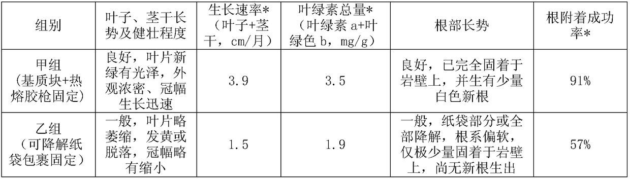 Construction method of specialized garden for lithophytes in south China