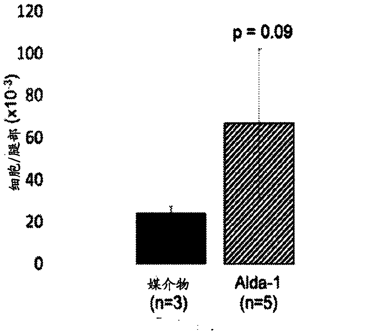 Mitochondrial aldehyde dehydrogenase-2 modulators for protecting, expanding and increasing potency of hematopoietic stem cells