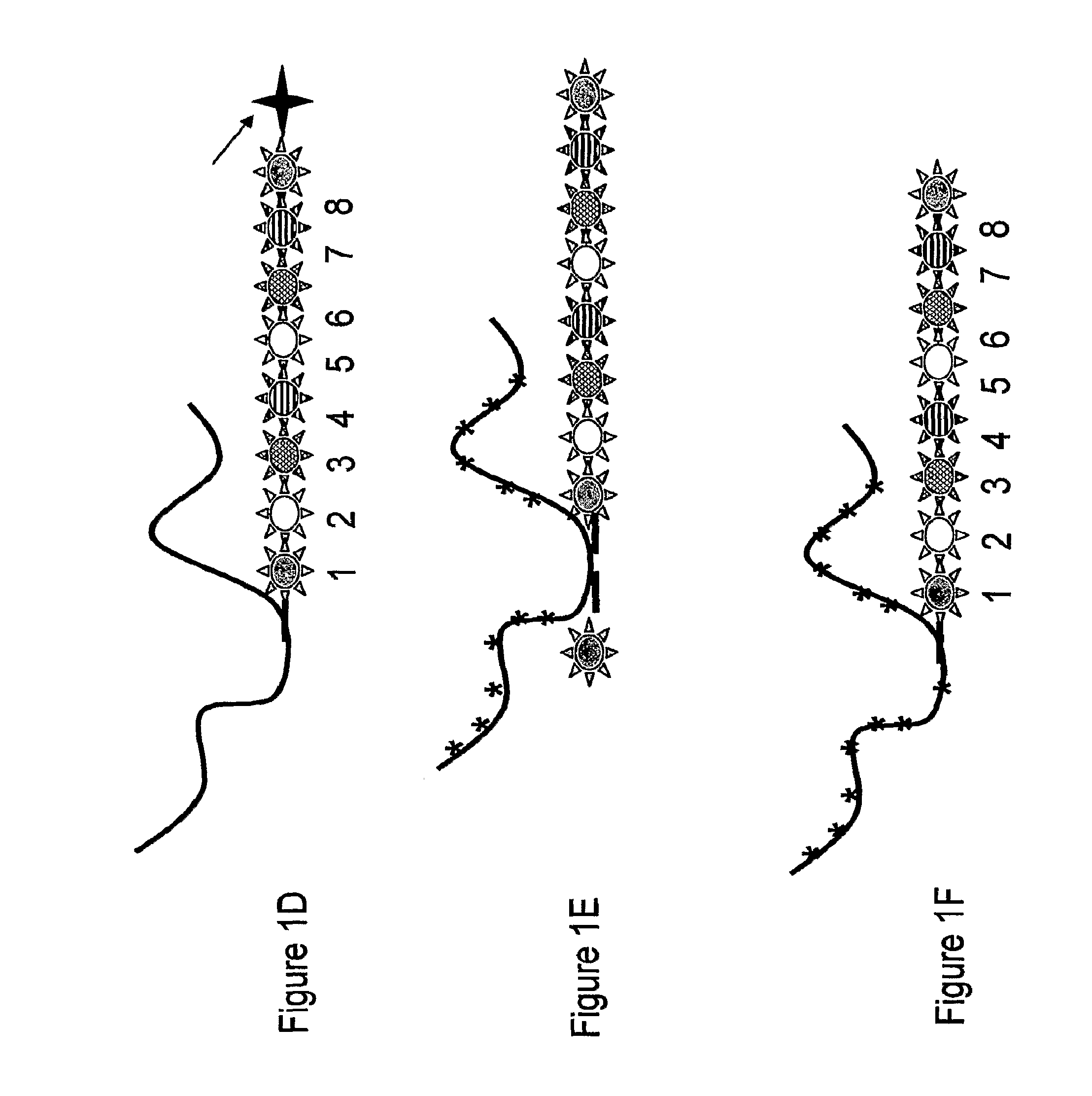 Nanoreporters and methods of manufacturing and use thereof