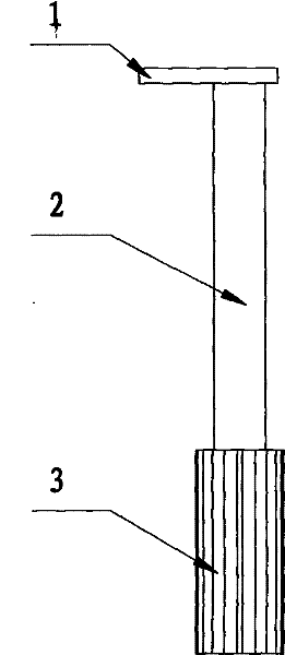 Novel immunologic detection method