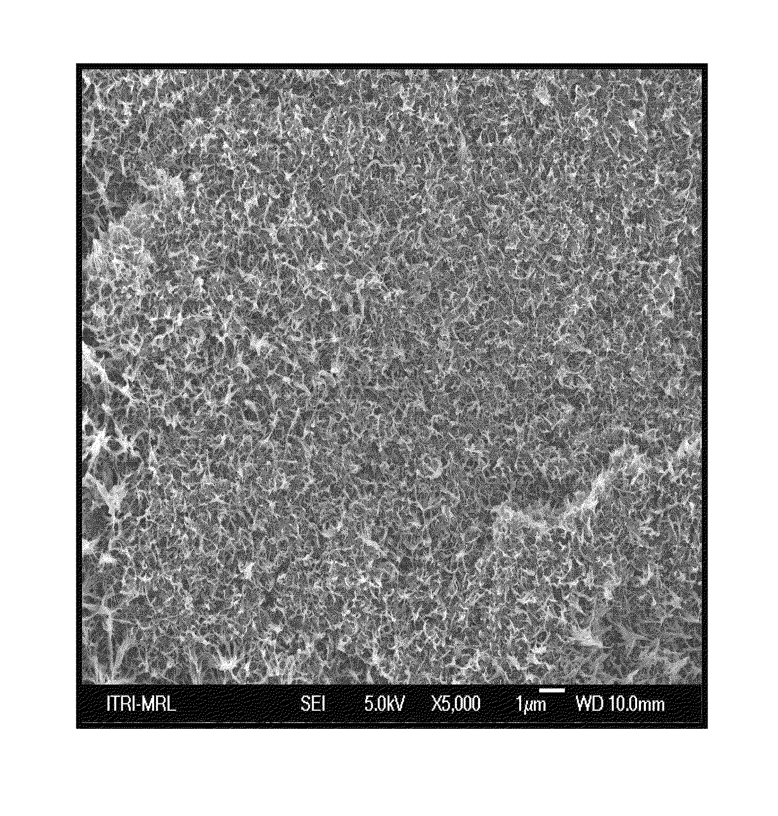 Carbon nanotube powders and methods for manufacturing the same and composite materials