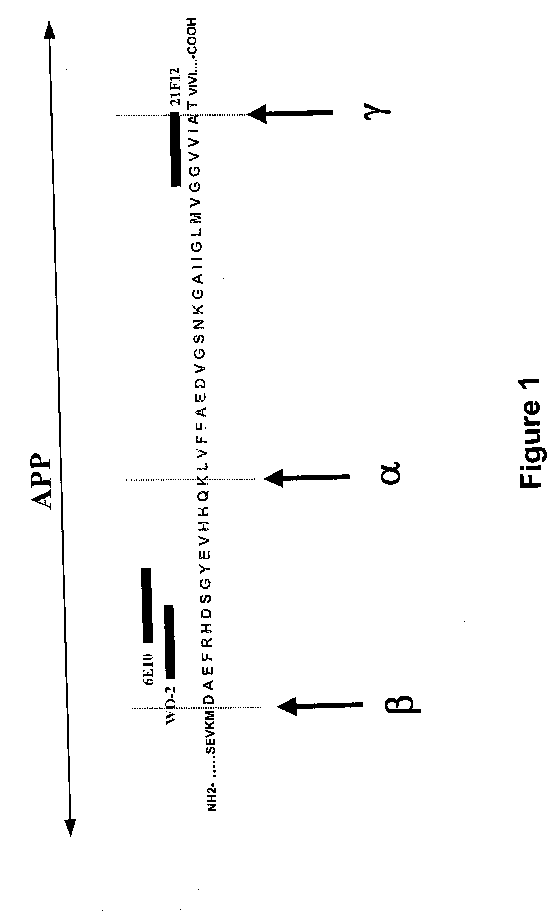 Prevention, treatment and diagnosis of diseases associated with beta-amyloid formation and/or aggregation