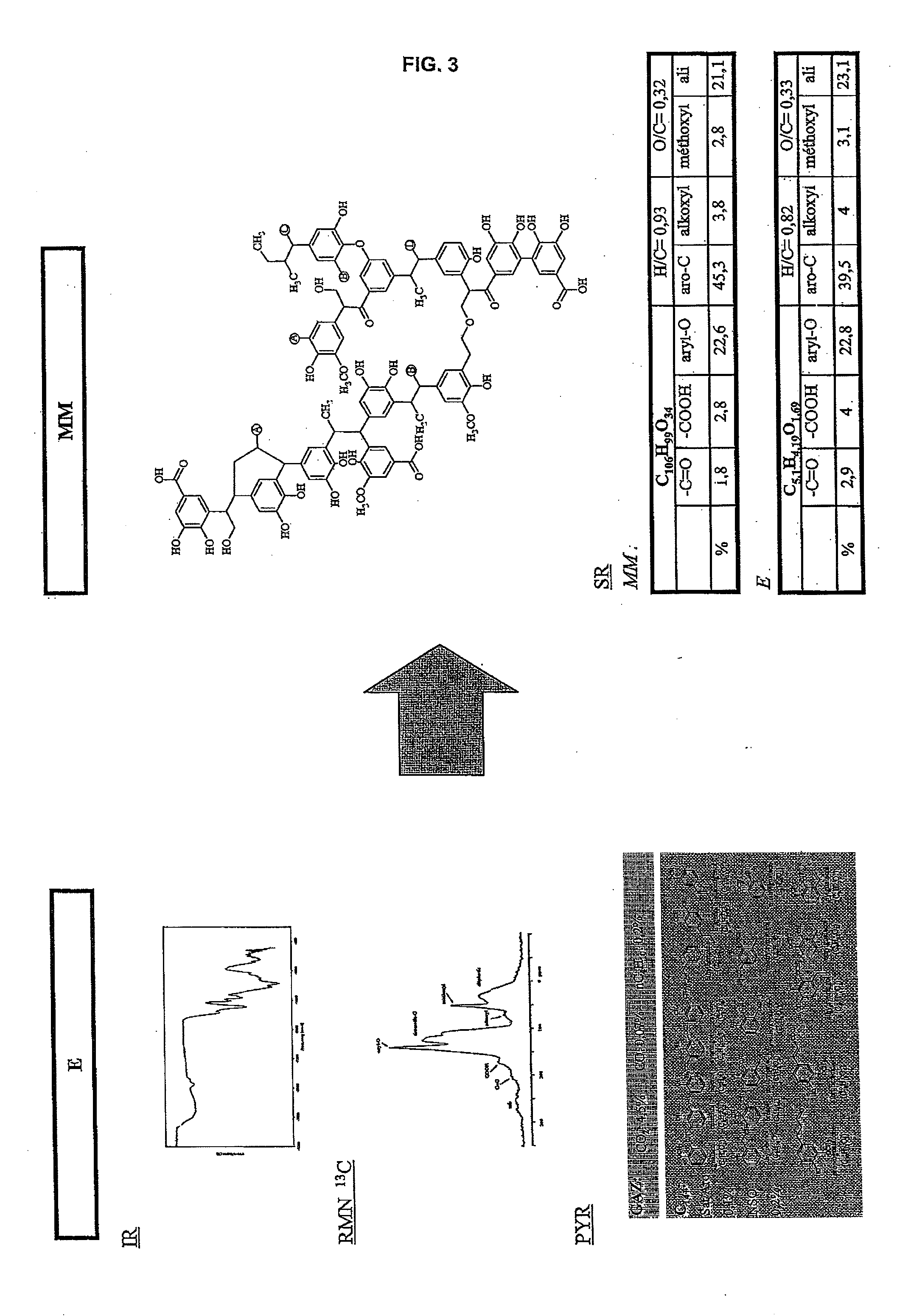Method of quantifying hydrocarbon formation and retention in a mother rock