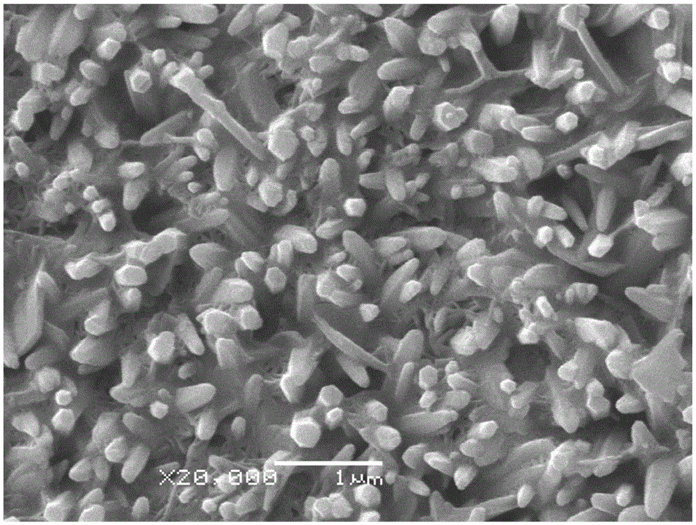 Dye-sensitized solar cell based on ZnO transparent conductive nanowire array electrode and preparation method thereof