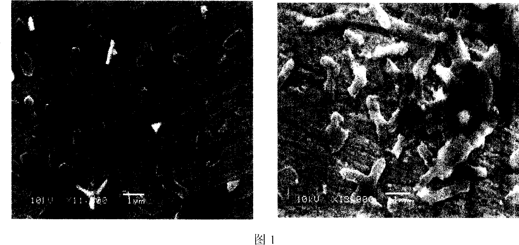 Method of bacterial eliminating sulfur in high sulfur bauxite