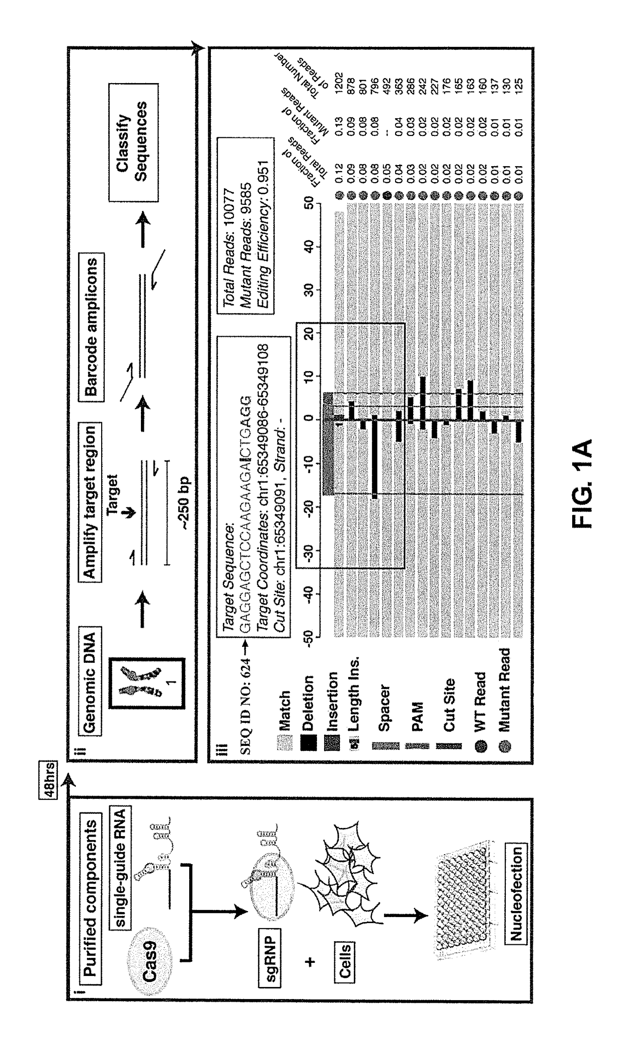 METHODS FOR USING DNA REPAIR FOR CELL ENGINEERING (as amended)