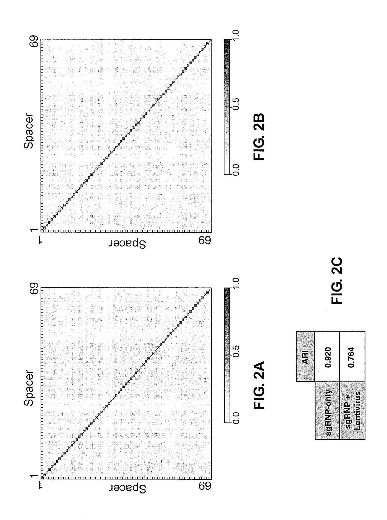 METHODS FOR USING DNA REPAIR FOR CELL ENGINEERING (as amended)