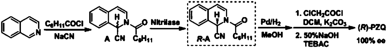 (R)-praziquantel intermediate and preparation method of (R)-praziquantel