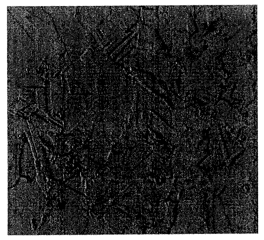 Method for preparing high-intensity and high-plasticity iron steel material with high manganese and aluminum contents