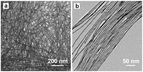 Preparation method of ultrafine single crystal platinum nanotubes with openings at both ends of 1nm ultrathin tube wall