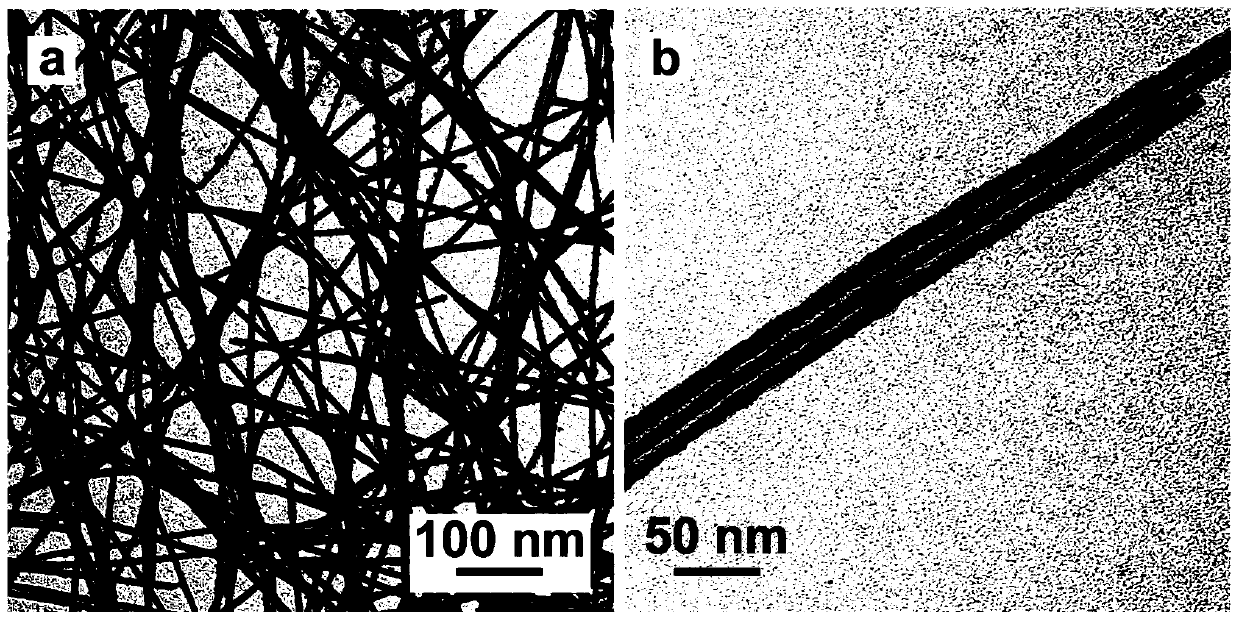 Preparation method of ultrafine single crystal platinum nanotubes with openings at both ends of 1nm ultrathin tube wall