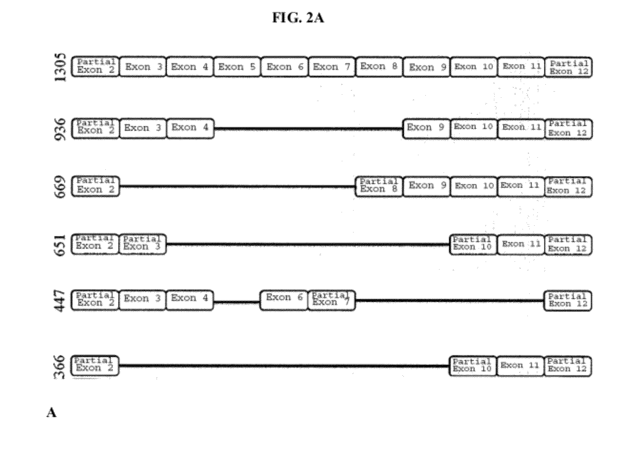 RTEF-1 variants and uses thereof