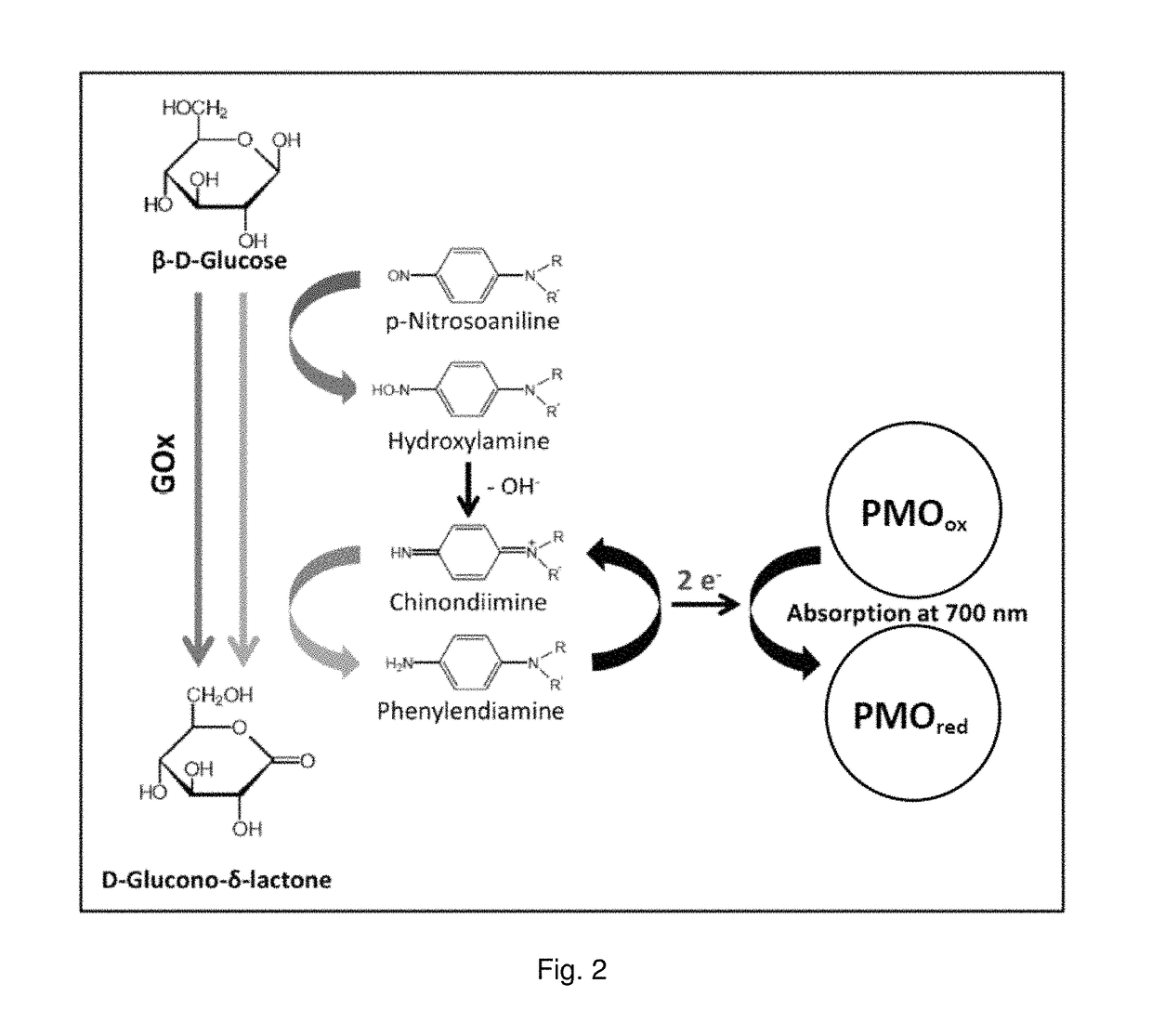 Glucose oxidase variants and methods of using the same