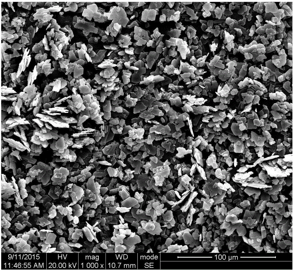 Organic negative electrode material of potassium ion battery and preparation method of organic negative electrode material