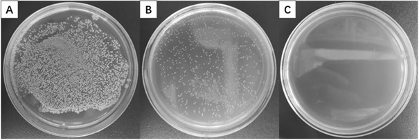 Preparation method of antibacterial mildew-proof polypropylene