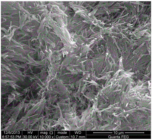 A kind of preparation method of bis-carbamic acid alkyl ester type oil coagulant