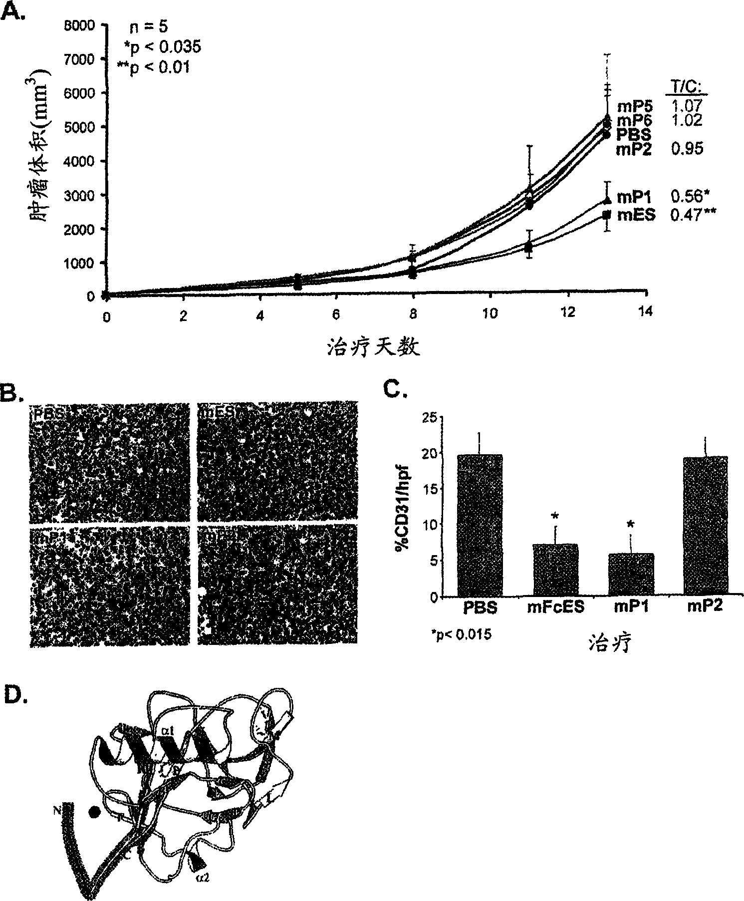 Anti-angiogenic peptides from the N-terminus of endostatin