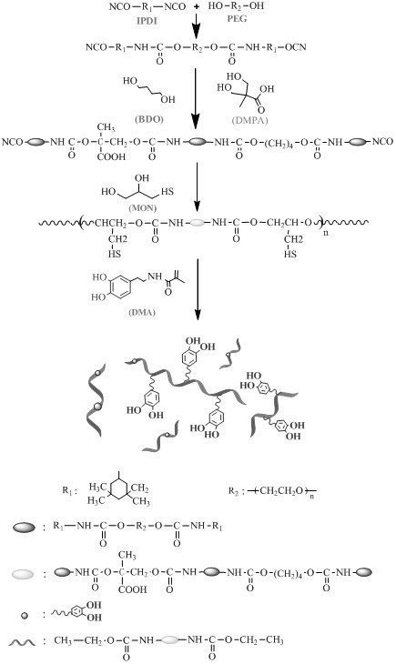 Comb-shaped water-based polyurethane material imitating mussel mucin structure and preparation method thereof