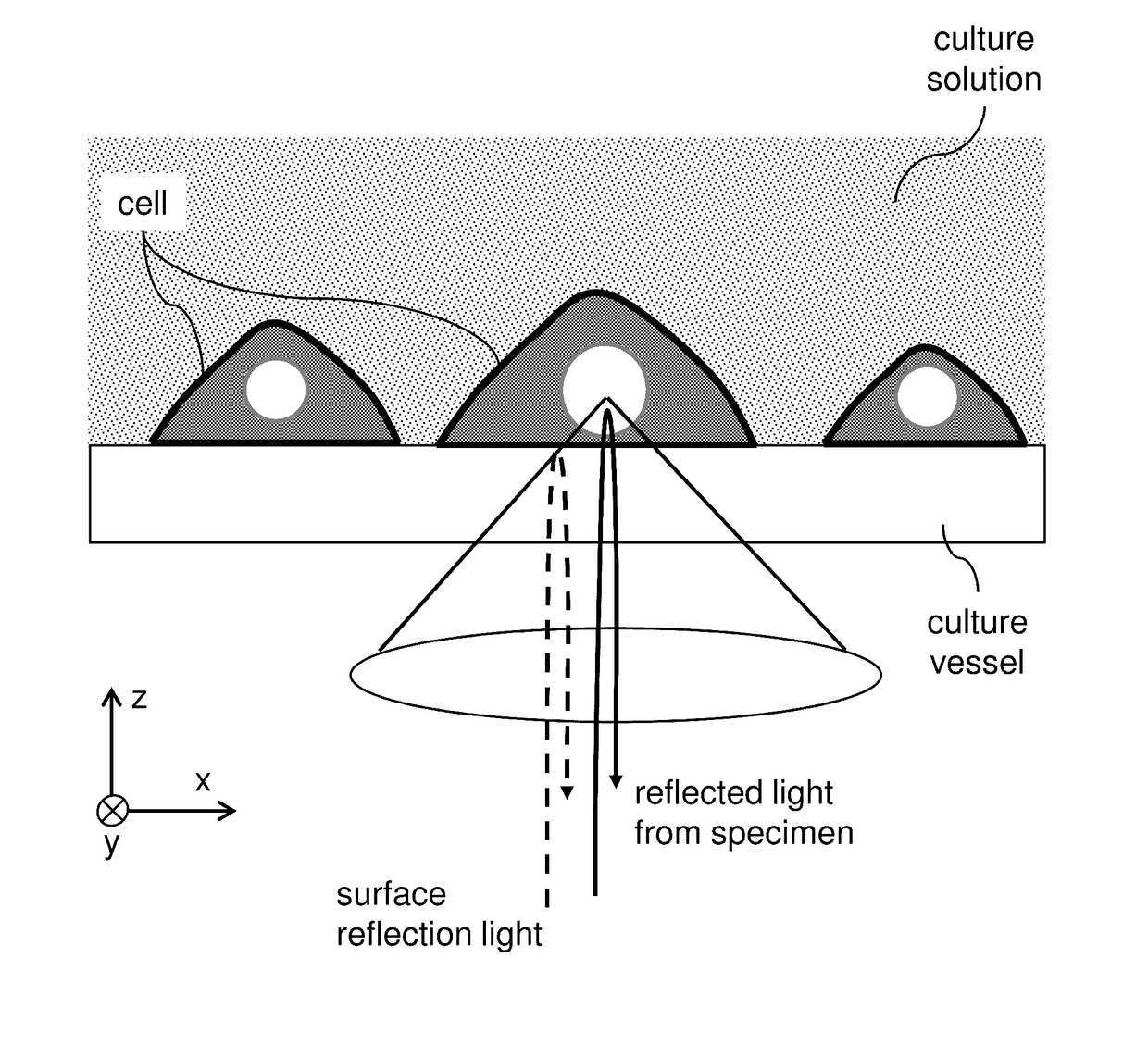 Optical measurement method and apparatus