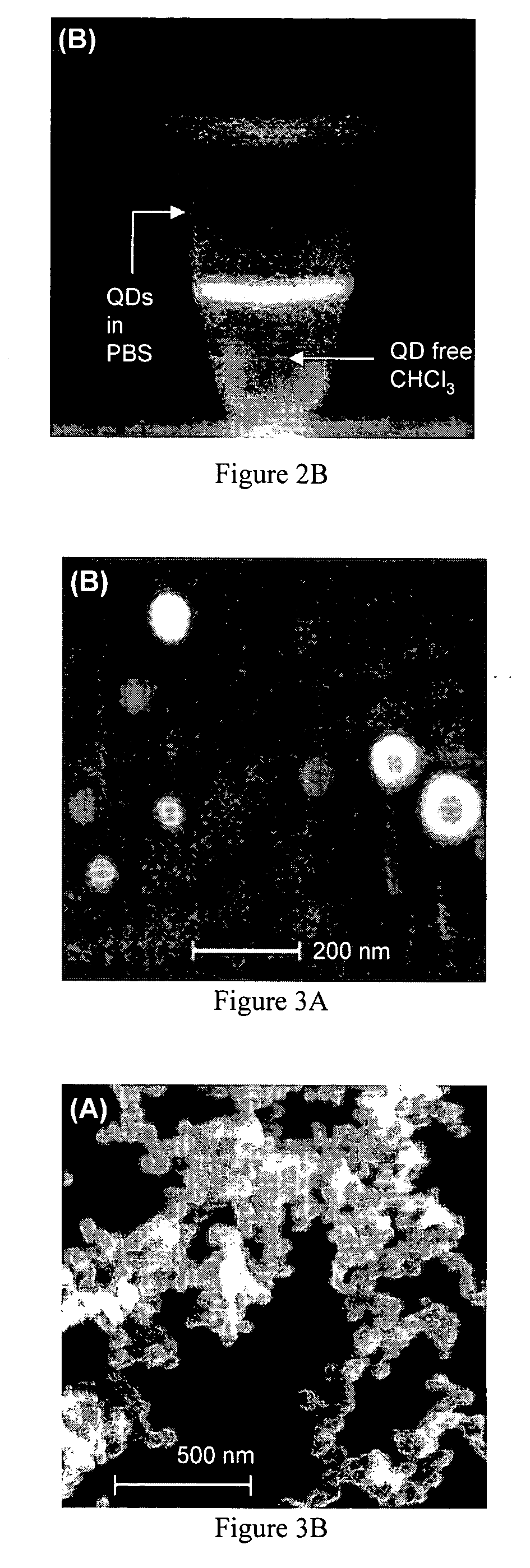 Nanoscale heterojunctions and methods of making and using thereof