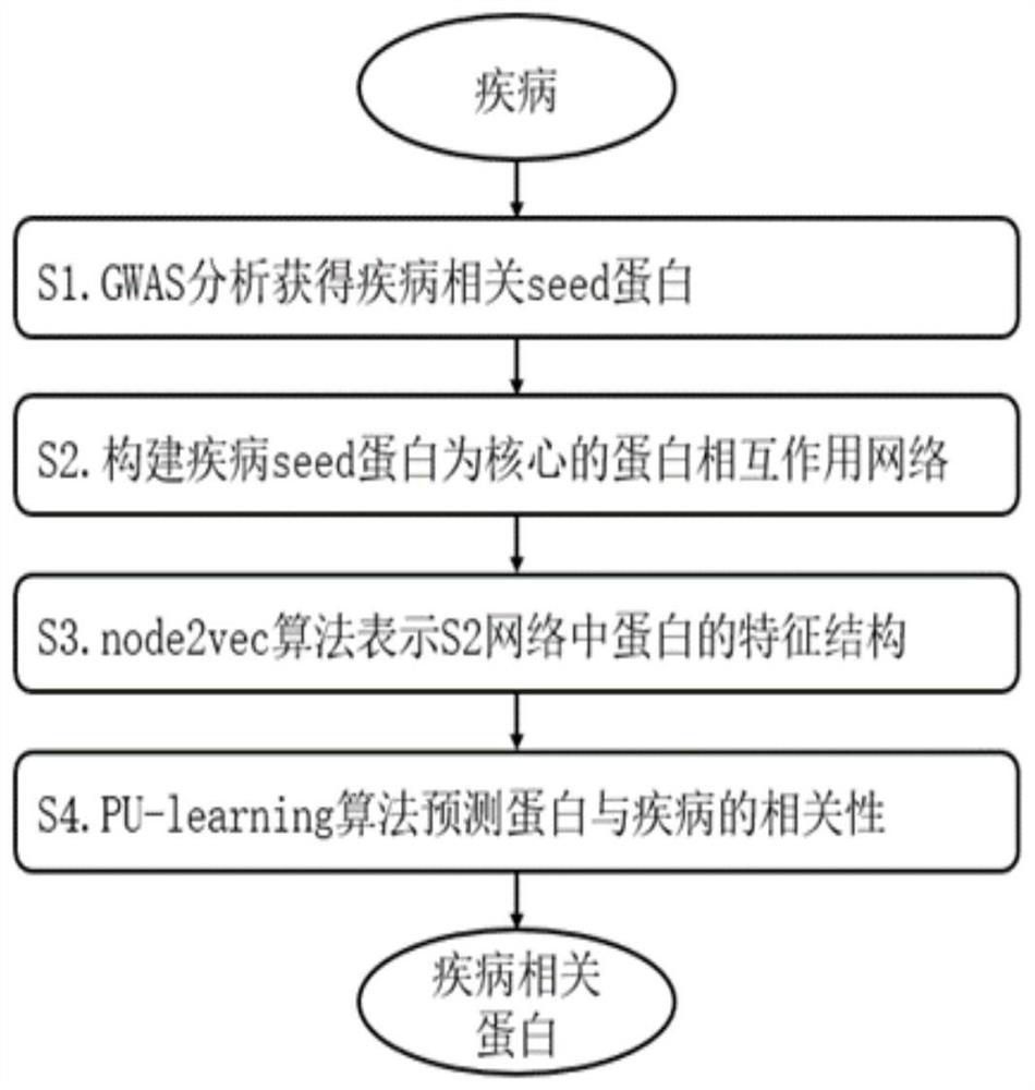 Method for screening disease-related proteins based on complex network