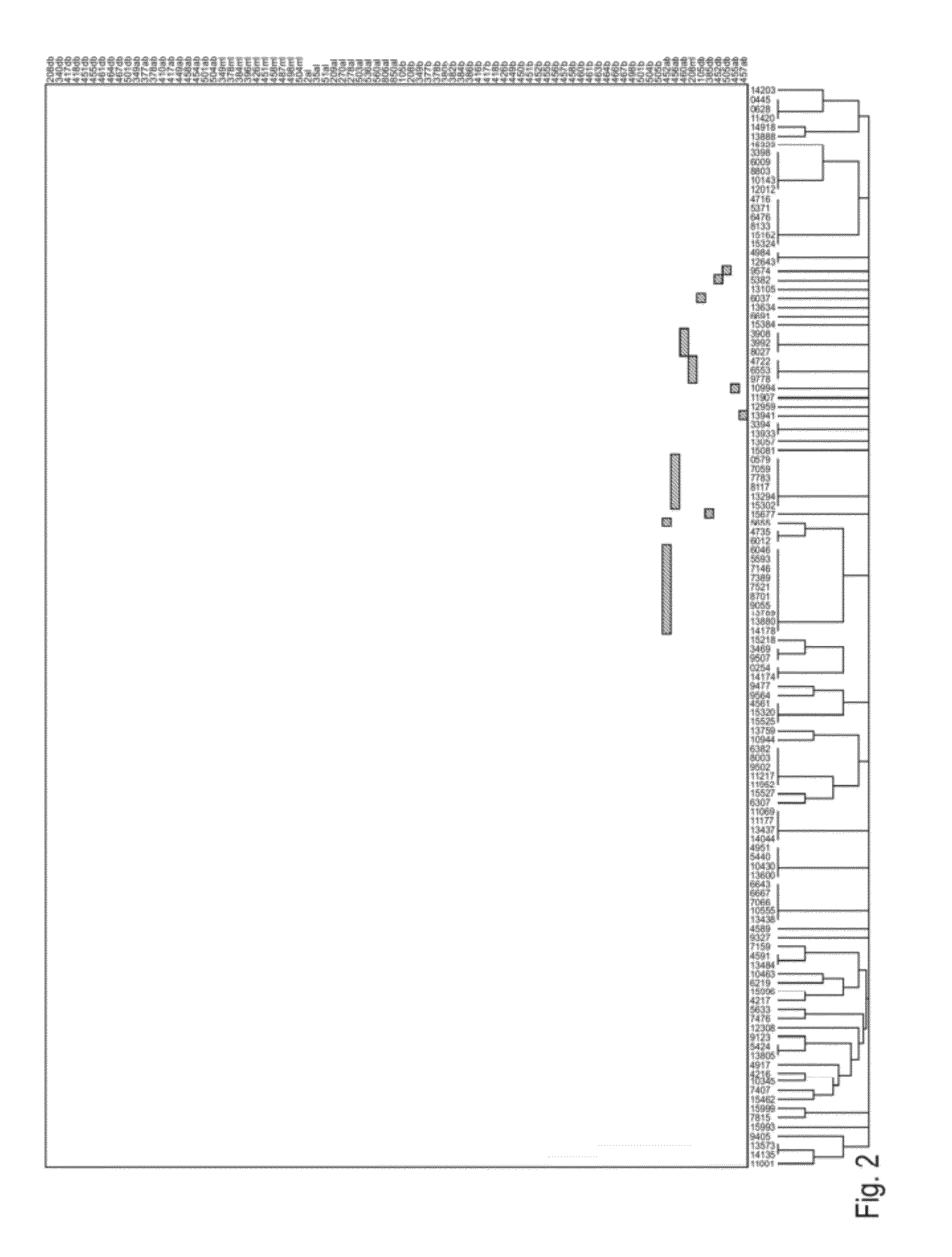 Mitochondrial mutations and rearrangements as a diagnostic tool for the detection of sun exposure, prostate cancer and other cancers