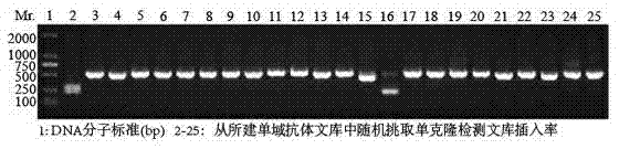 Nanometer antibody for specifically aiming at H3N2 influenza A virus and application thereof in diagnosis