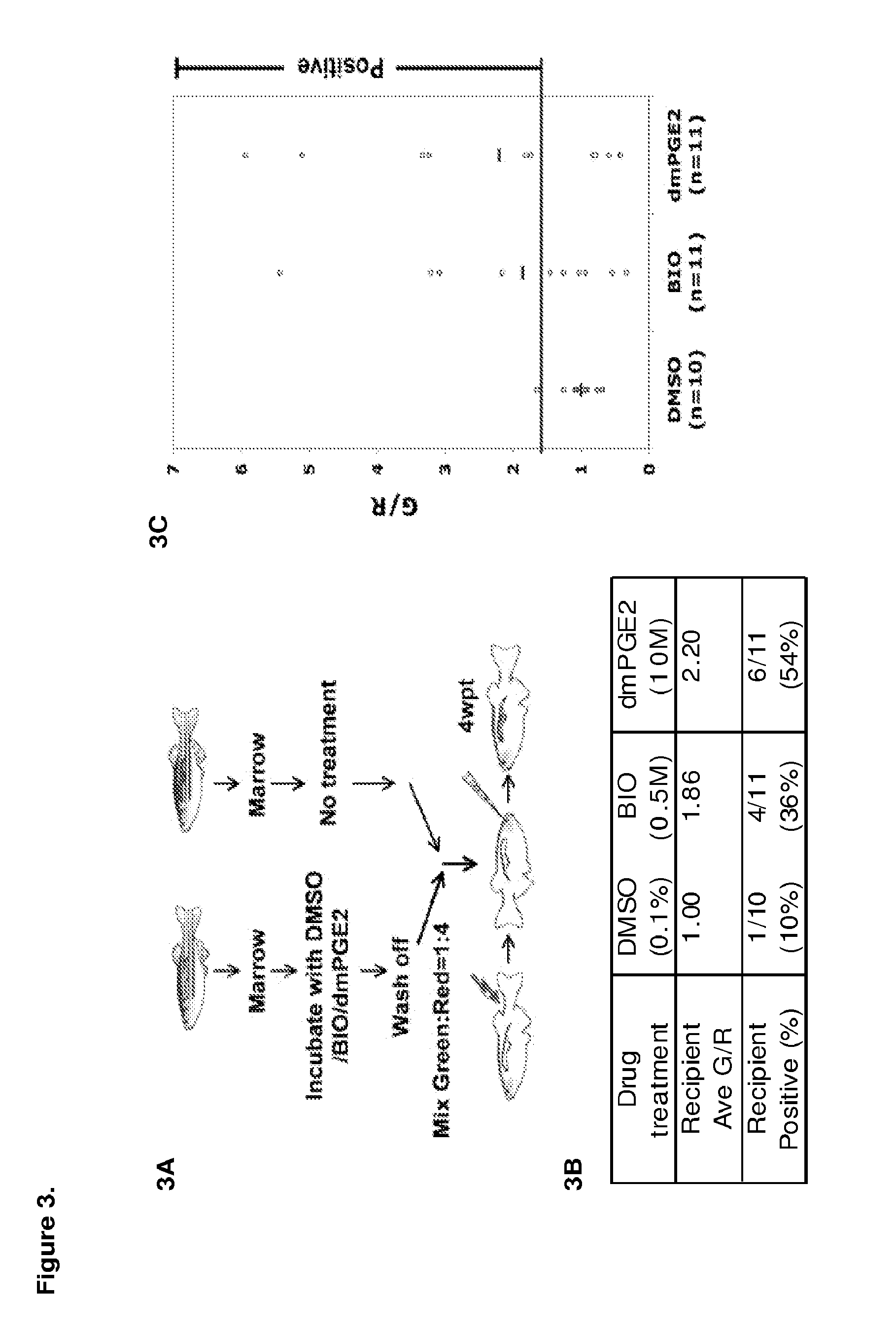 Methods for enhancing hematopoietic stem/progenitor cell engraftment