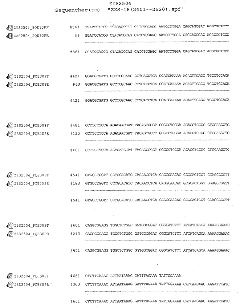 Chicken alpha interferon/interleukin 2 chimeric gene