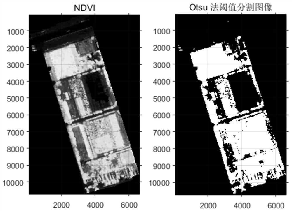 Urban green land vegetation information datamation accurate determination method