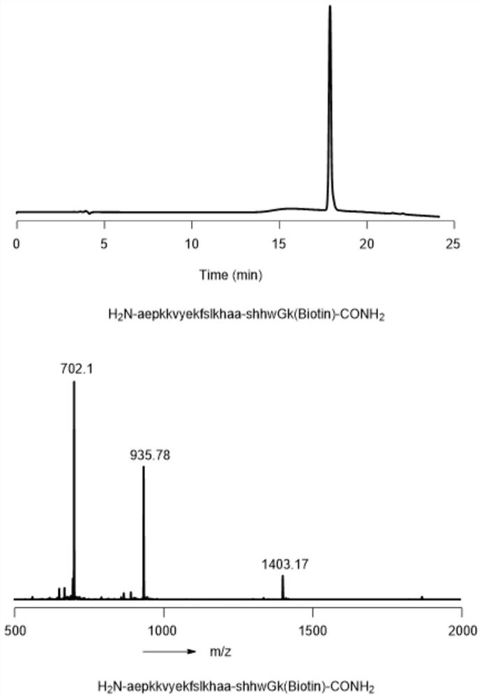 Mirror protein information storage and encoding technology