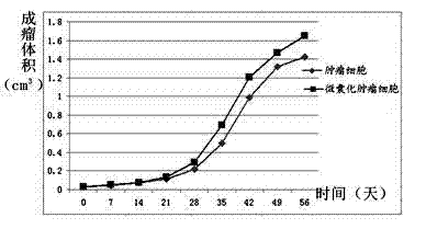 Microencapsulated human pancreatic carcinoma cells, and preparation method and application thereof