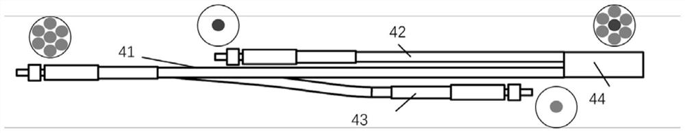 Atherosclerosis early screening device