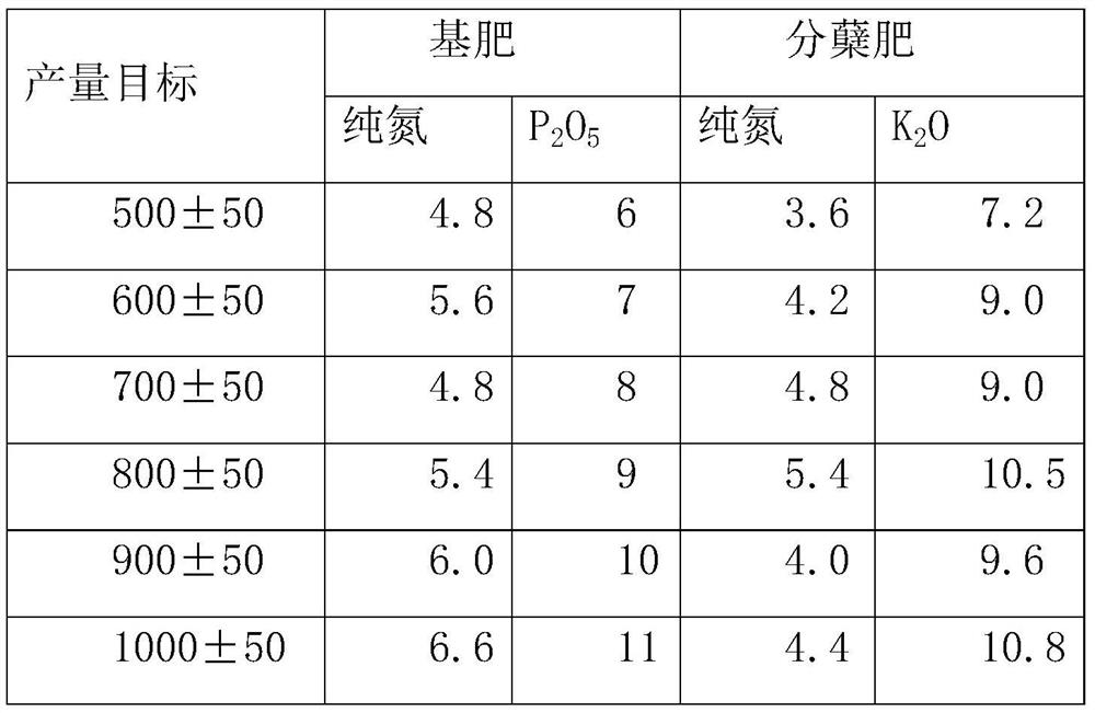 Three-source, three-reservoir and three-flow super-high-yield regulation and control method for rice