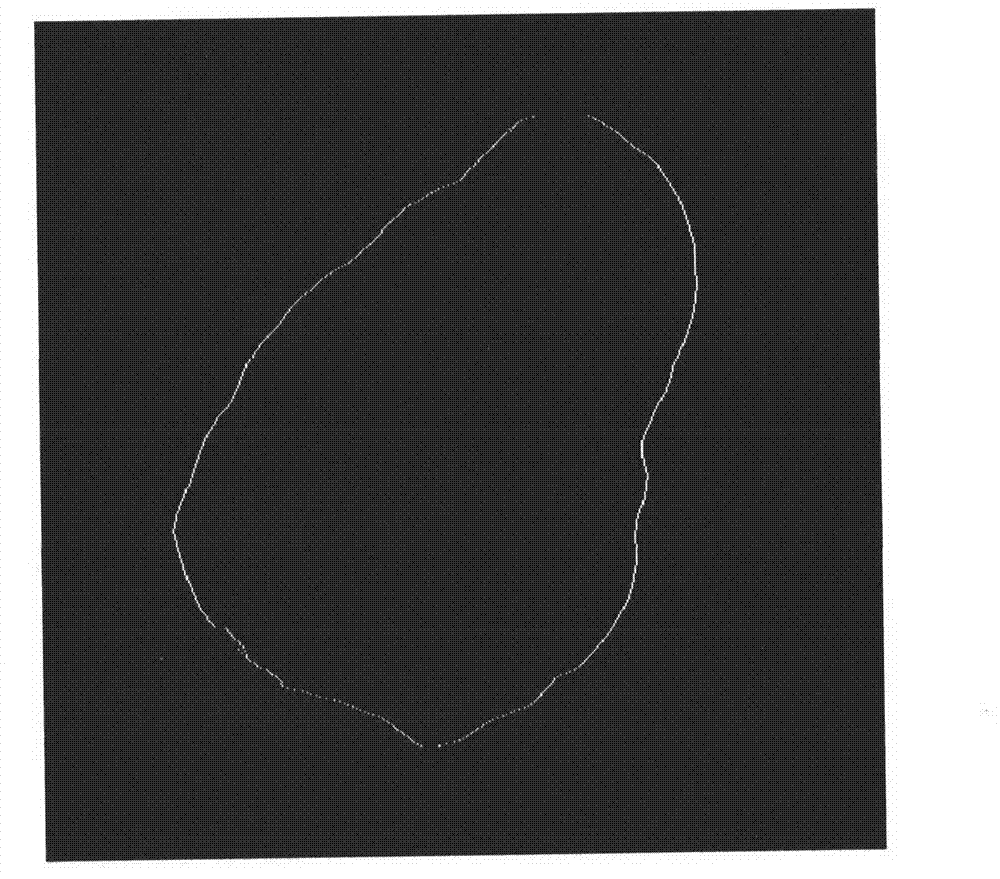 Method for determining image centroid of small irregular celestial body for deep space autonomous navigation