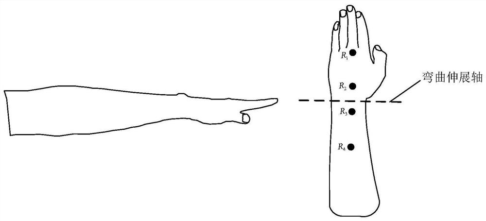 A method and system for continuous prediction of wrist joint torque in multi-grasp mode