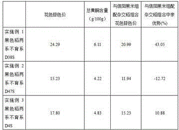 Breeding method of anthocyanin-rich black rice thermo-sensitive two-line sterile line