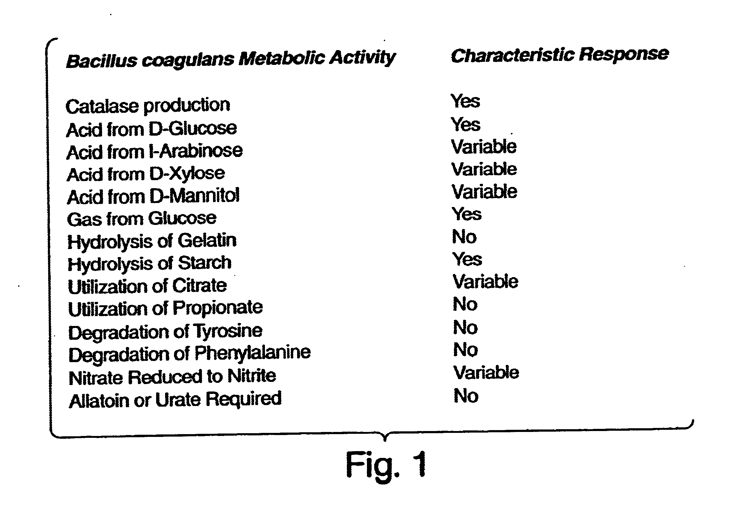 Topical compositions containing probiotic bacillus bacteria, spores, and extracellular products and uses thereof