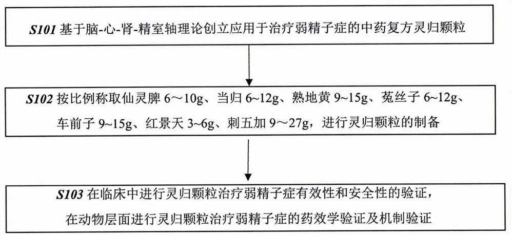 Traditional Chinese medicine compound radix clematidis and radix angelicae sinensis granules for treating asthenospermia by applying brain-heart-kidney-spermatoventricular axis theory and preparation method