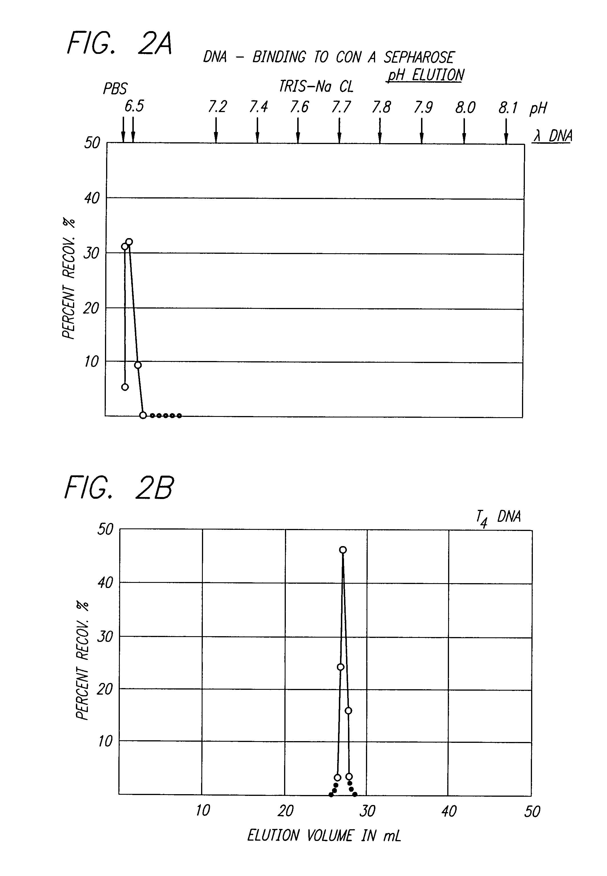 Nucleic acid sequencing processes using non-radioactive detectable modified or labeled nucleotides or nucleotide analogs, and other processes for nucleic acid detection and chromosomal characterization using such non-radioactive detectable modified or labeled nucleotides or nucleotide analogs