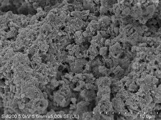 Preparation method and application of papermaking sludge activated carbon supported cu-co catalyst