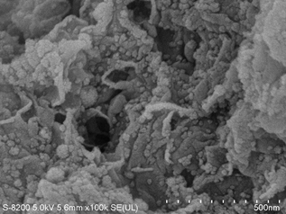 Preparation method and application of papermaking sludge activated carbon supported cu-co catalyst