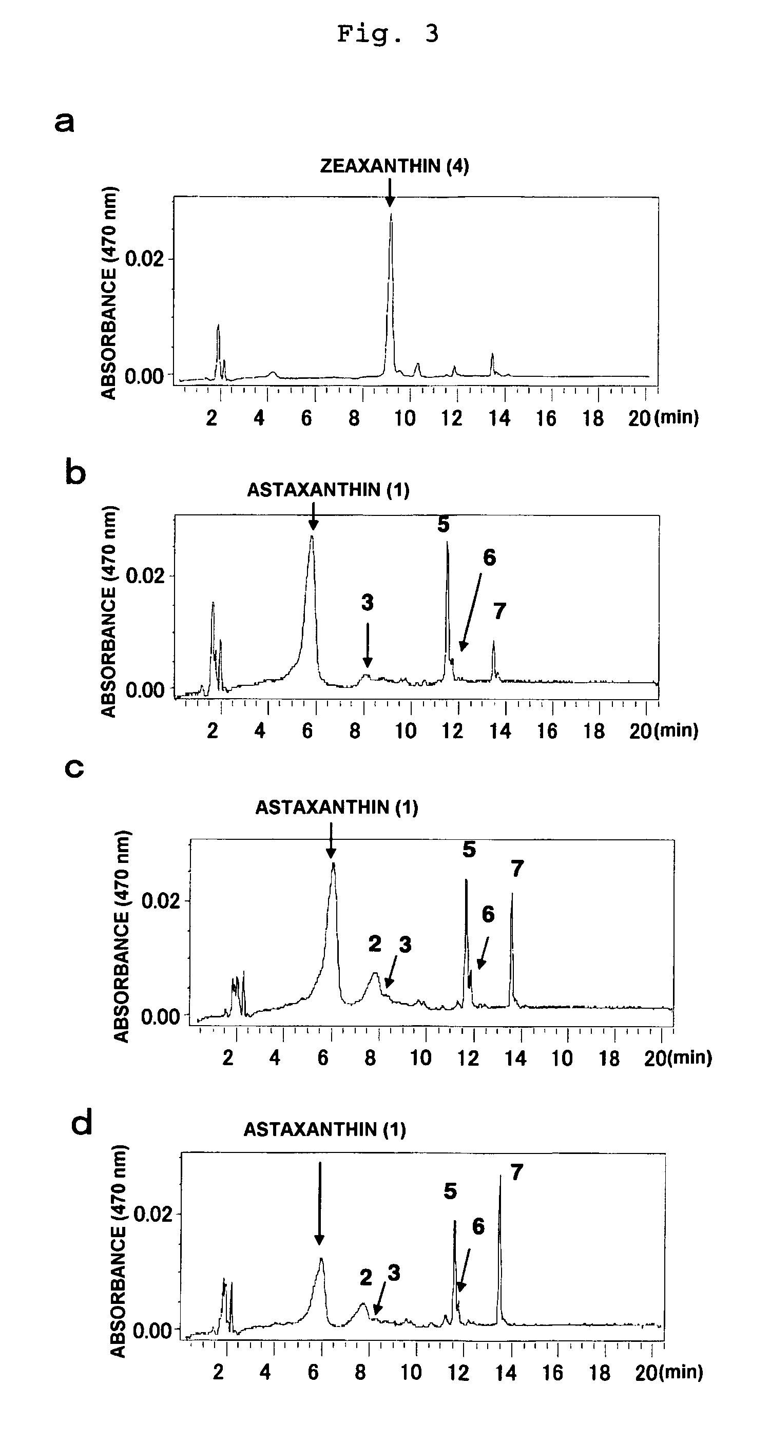 Method of producing astaxanthin or metabolic product thereof by using carotenoid ketolase and carotenoid hydroxylase genes