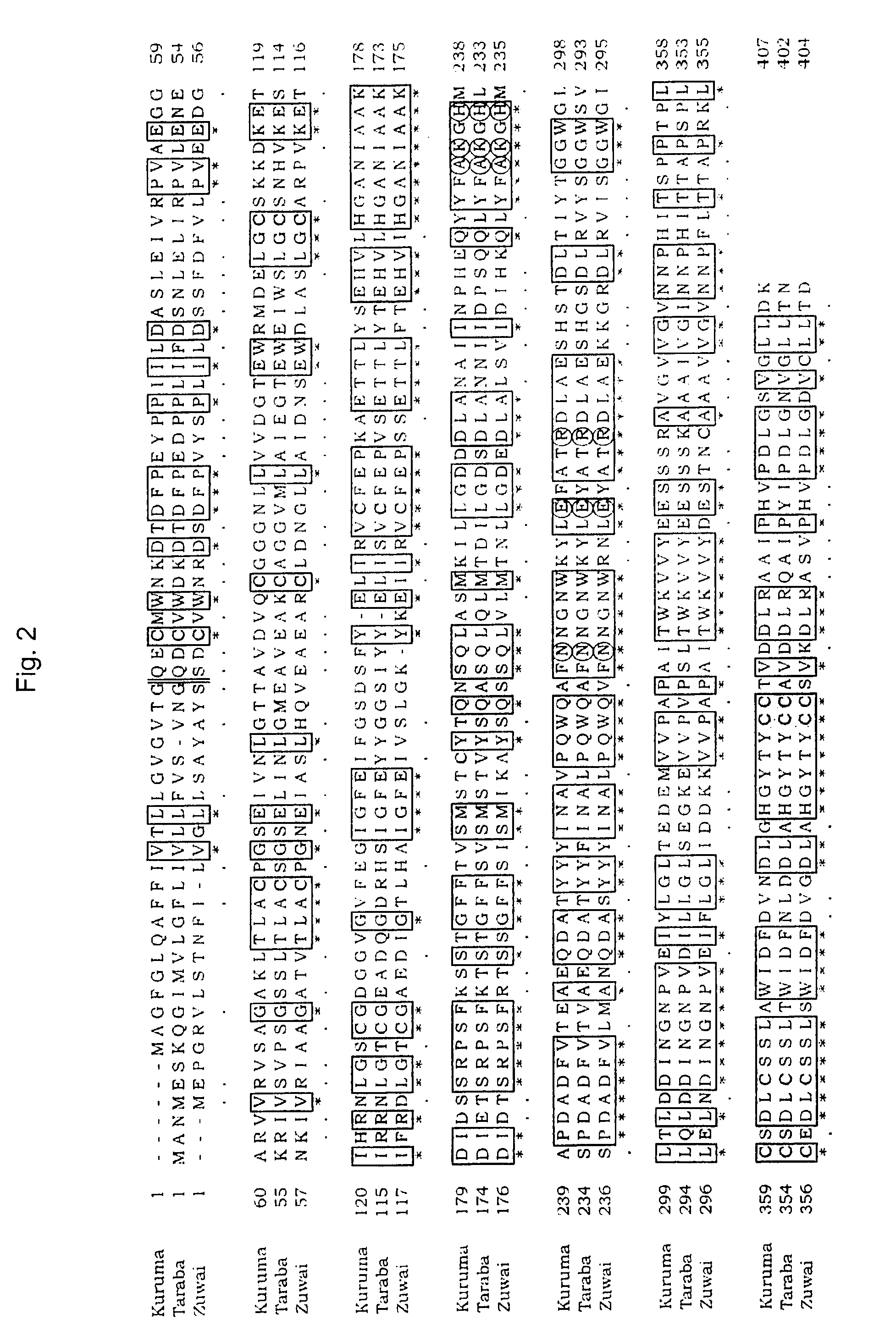 Thermostable duplex-specific nuclease