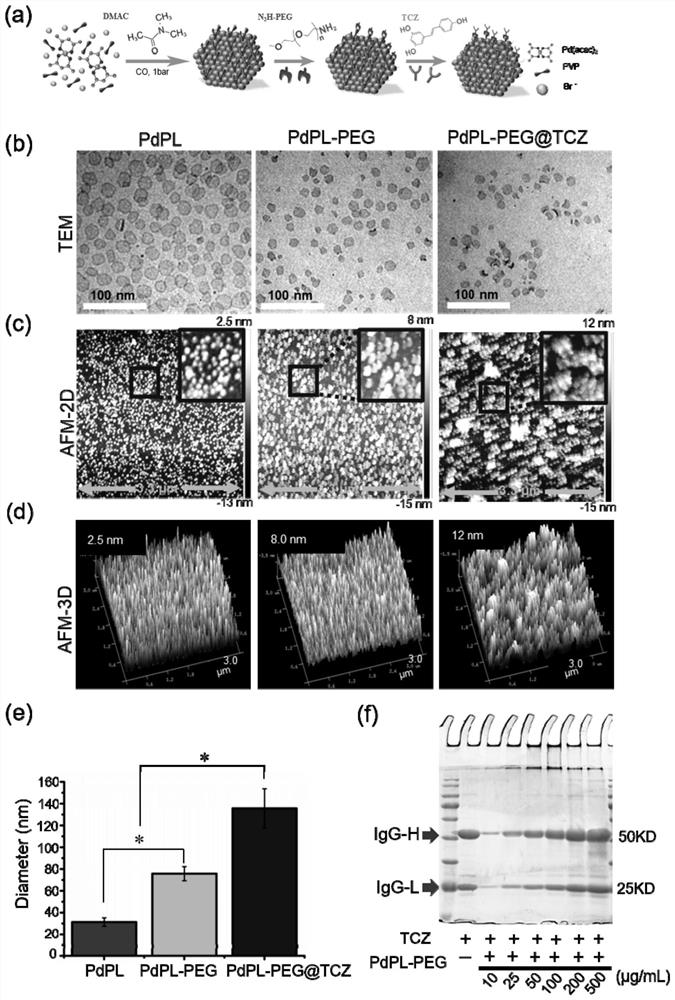 Nano-palladium sheet loaded tuzumab nano-complex, preparation method and application of nano-palladium sheet loaded tuzumab nano-complex in preparation of medicine for treating inflammation-related anemia