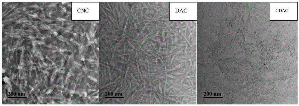 Preparation method of cellulose nanocrystal and chitosan composite membrane