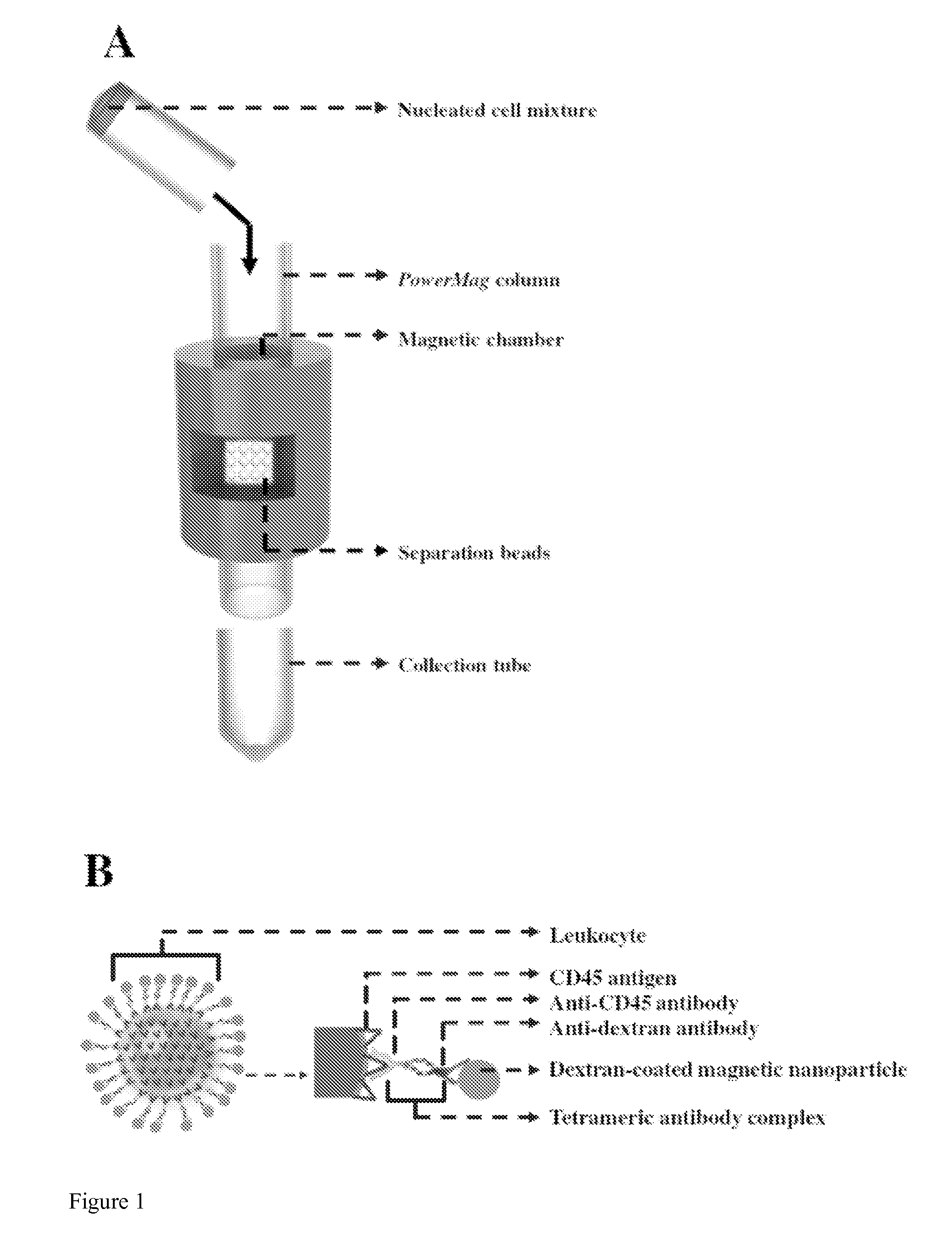Methods, Systems, and Compositions for Enrichment of Rare Cells