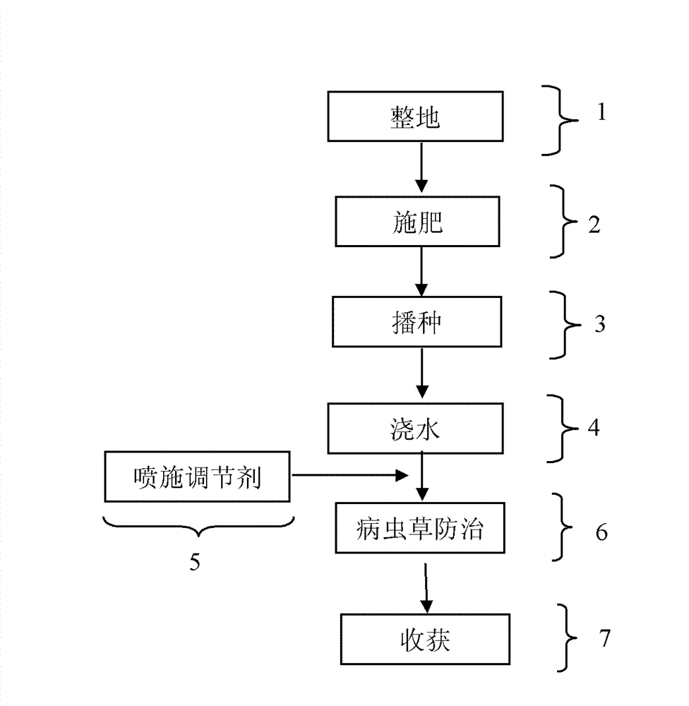 Cultivation method of leaf vegetable with low nitrate content